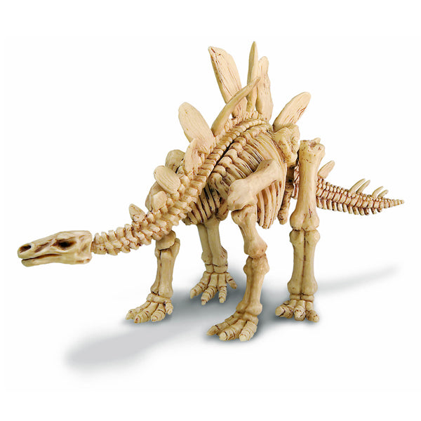 Dinosaurio Stegosaurus excava