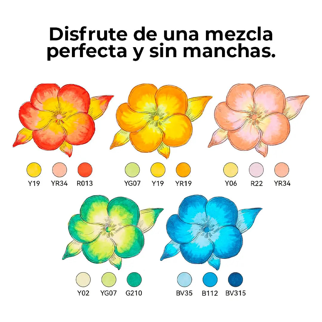 Set 36 Marcadores de alcohol Serie Honolulu Plus