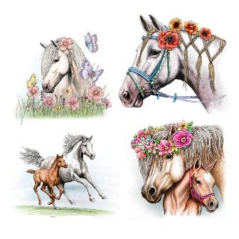 Miss Melody - Libro especial para colorear