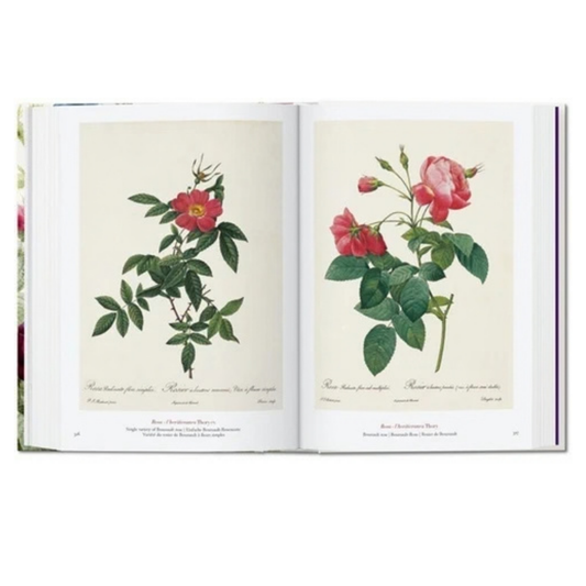 El libro de las flores. 40th Ed.
