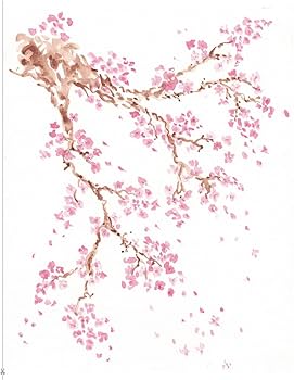 Libro Reverse colouring