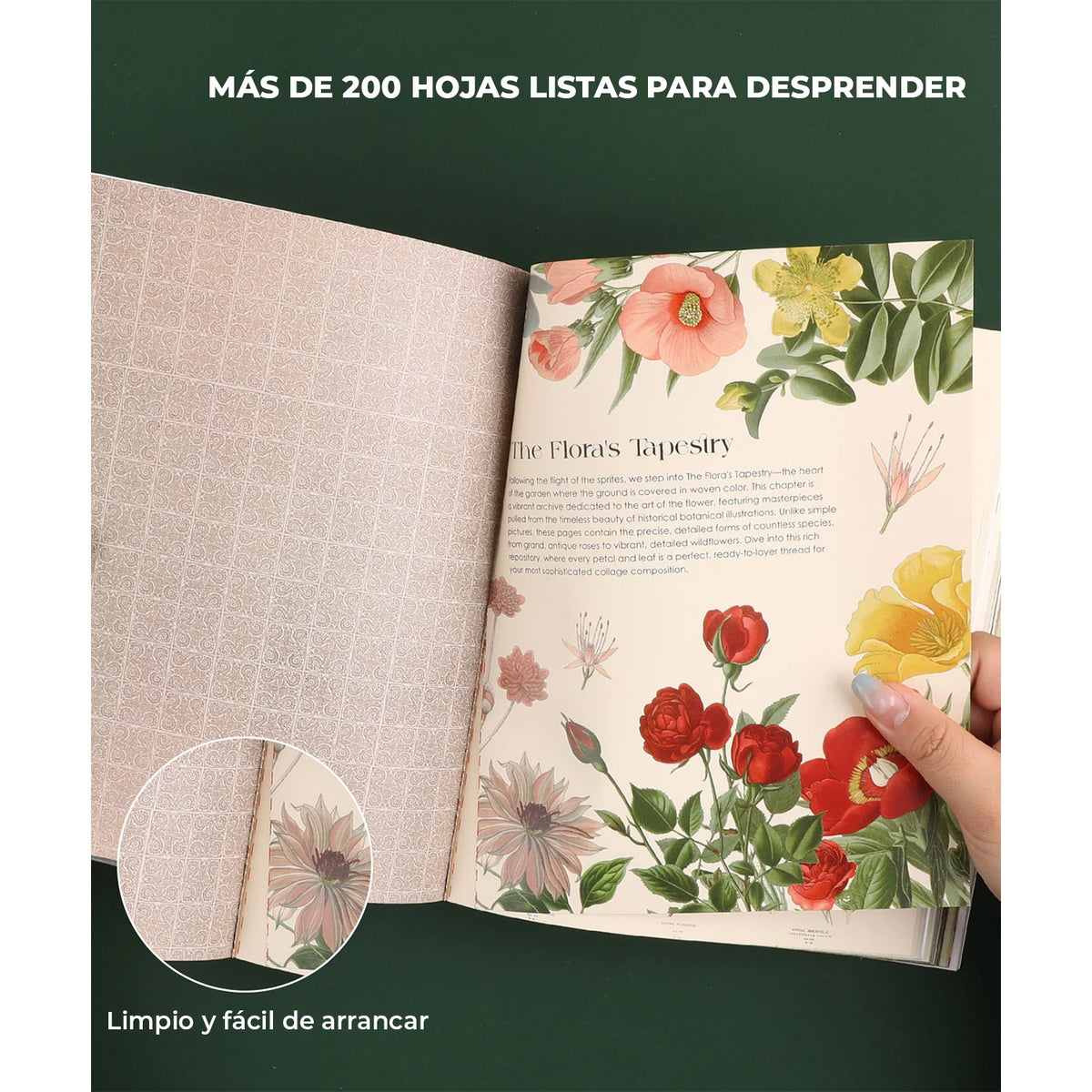 Libro de actividades La musa botánica
