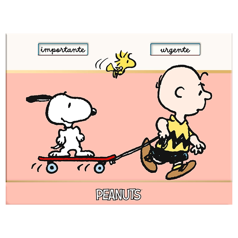 Taco de Notas con Ventana Snoopy