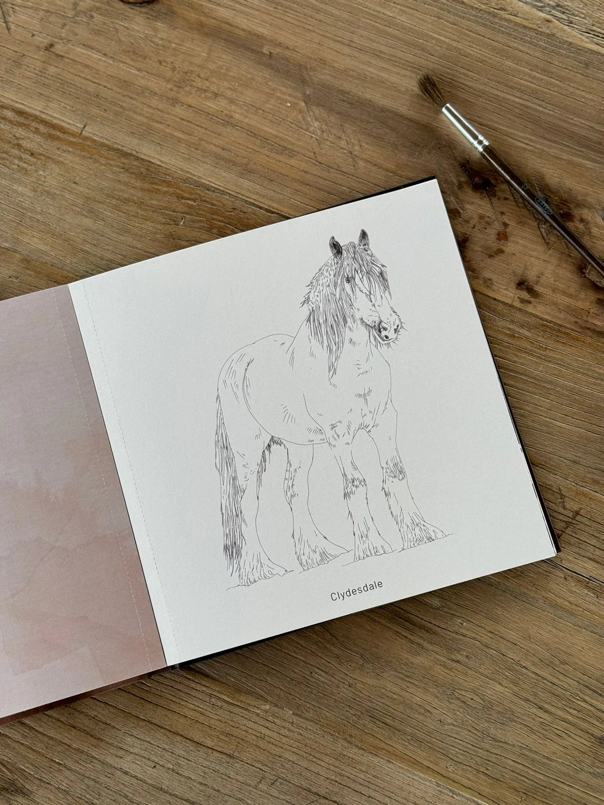 Libro para colorear Caballos
