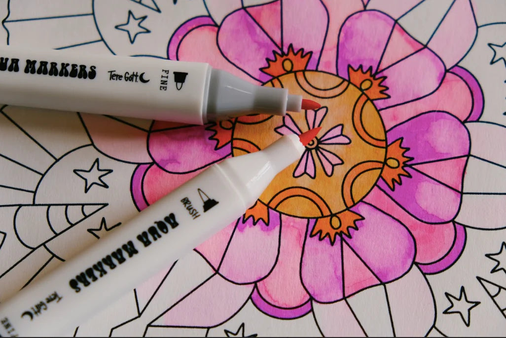 Marcadores Aqua Markers Tere Gott