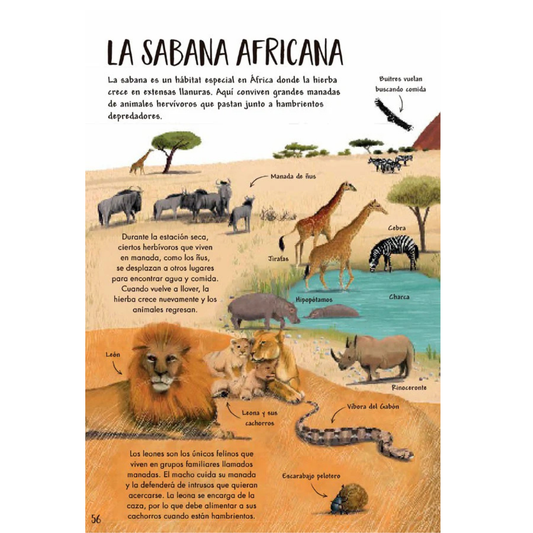 Mi primer libro de la naturaleza