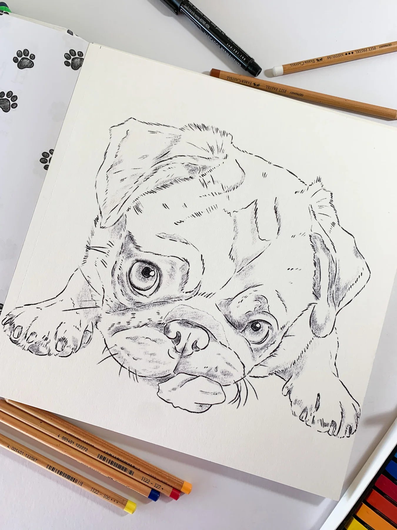 Libro para colorear Perros de Cata Fuenzalida.