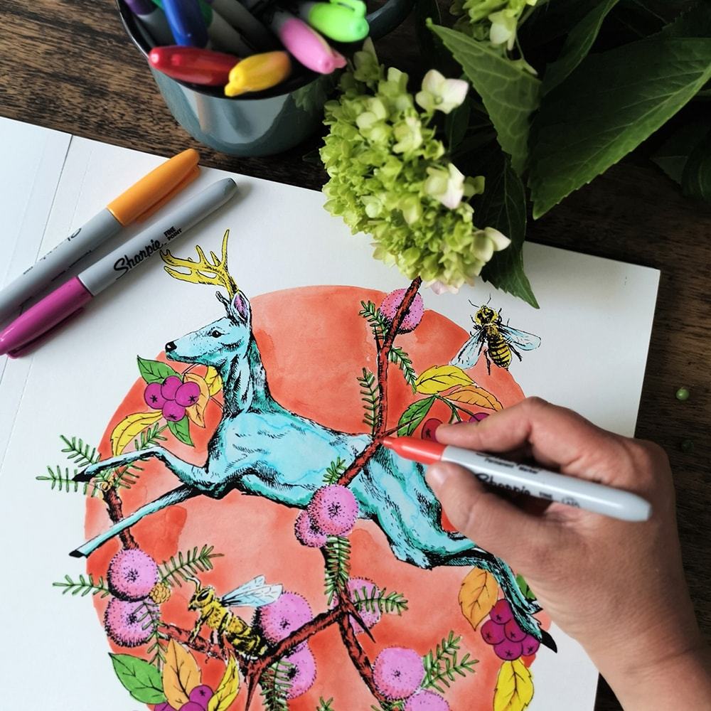Libro para colorear: Bestiario - Angela Errázuriz