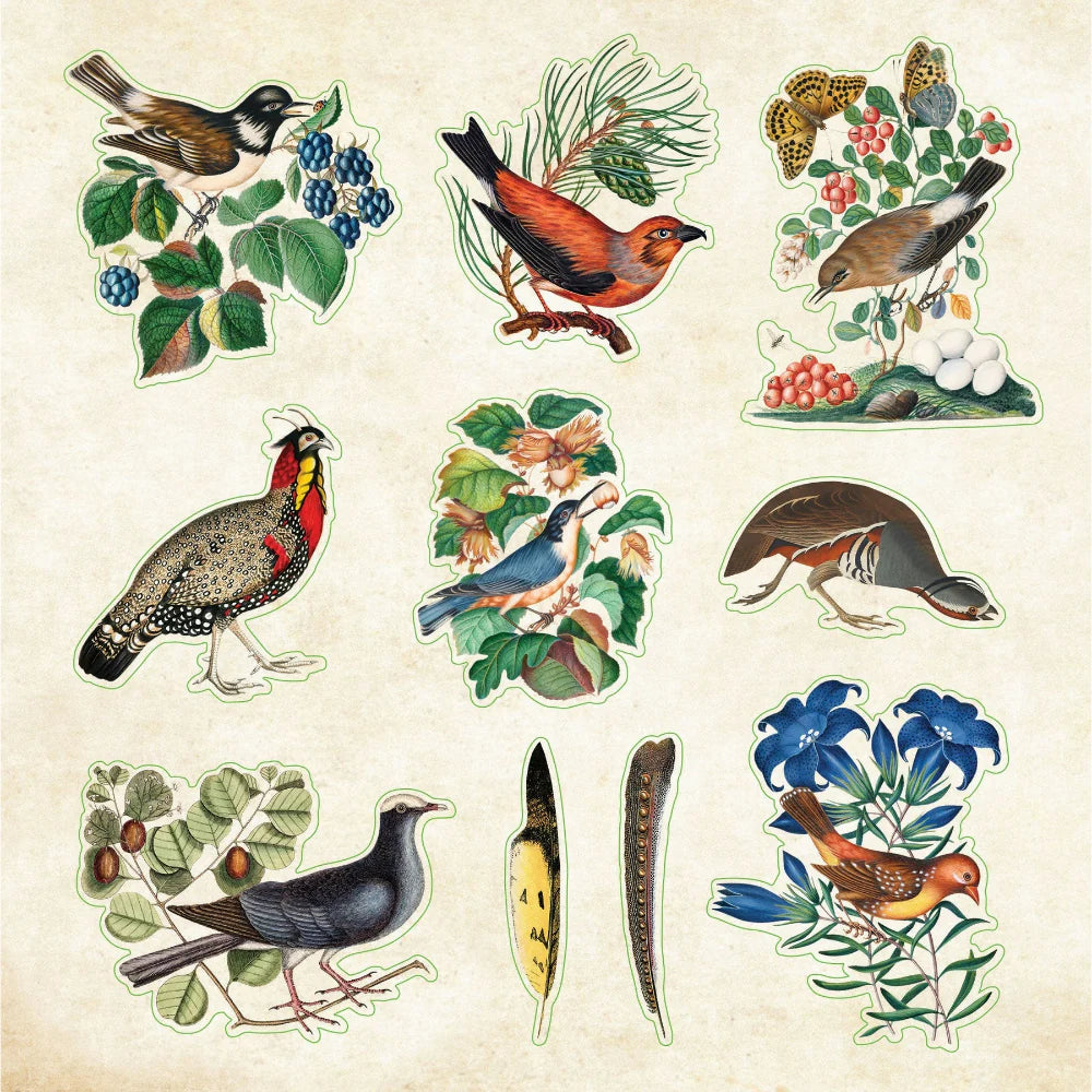 Libro de Stickers Zoológico Ephemera