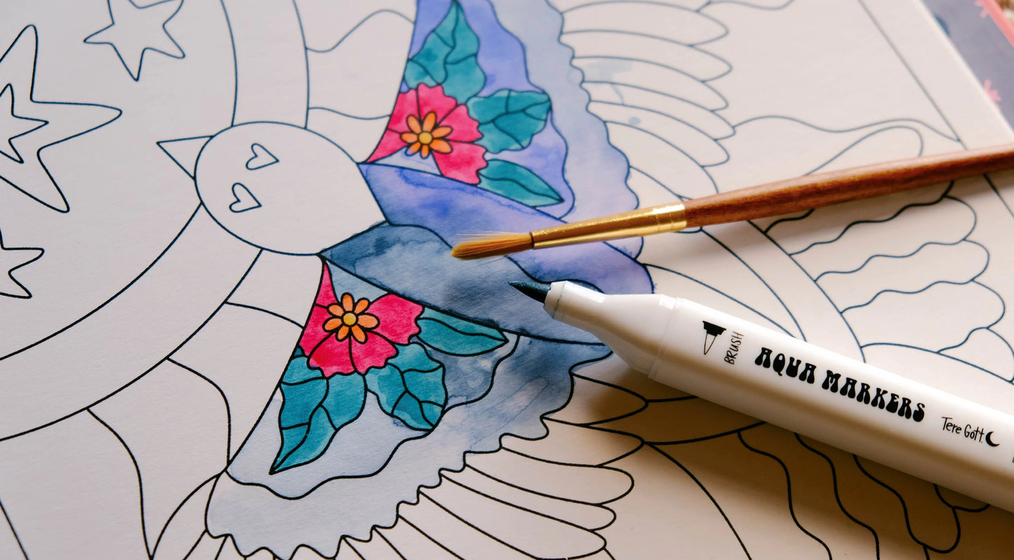 Marcadores Aqua Markers Tere Gott
