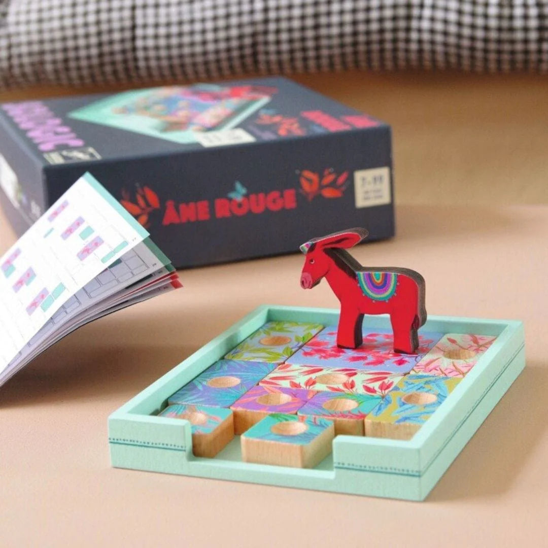 Juego de Lógica Ane Rouge Sologic