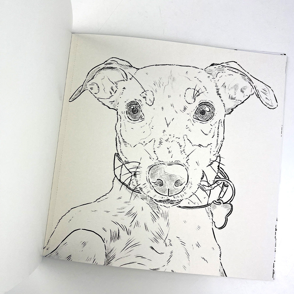 Libro para colorear Perros de Cata Fuenzalida.