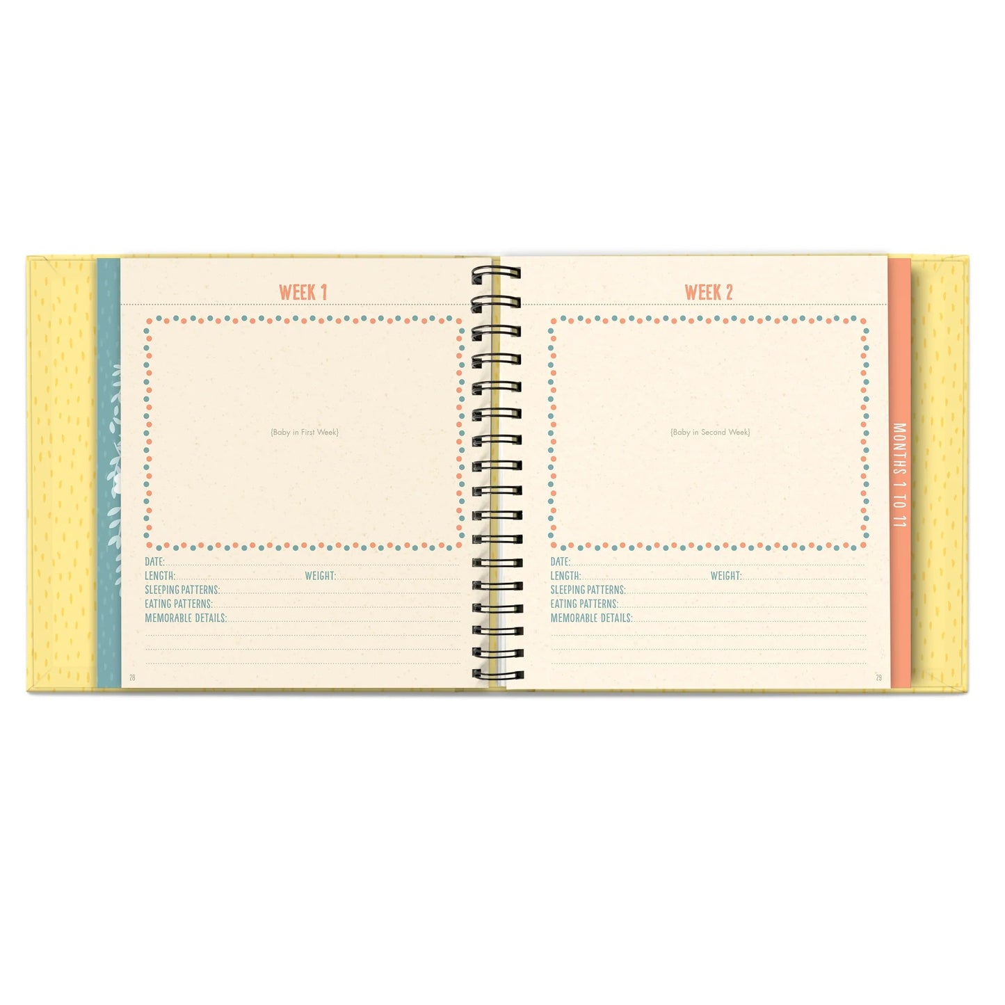 Libro Bebé Bundle of Joy