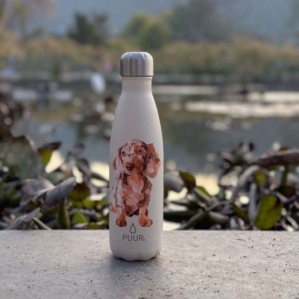 Botella Térmica Puur Bottle Teckel