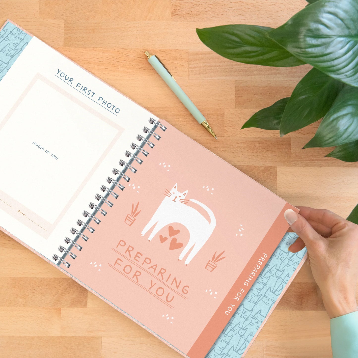 Diario guía - ¡Es un gato!