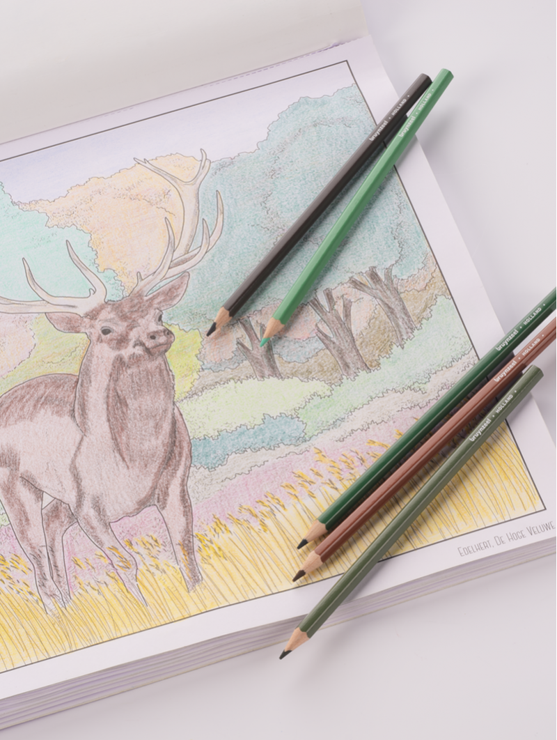 Lápices de Colores Colouring & Drawing 70 Piezas