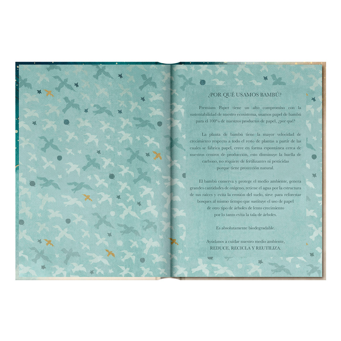 Libreta Tapa Dura el Principito Estrellas