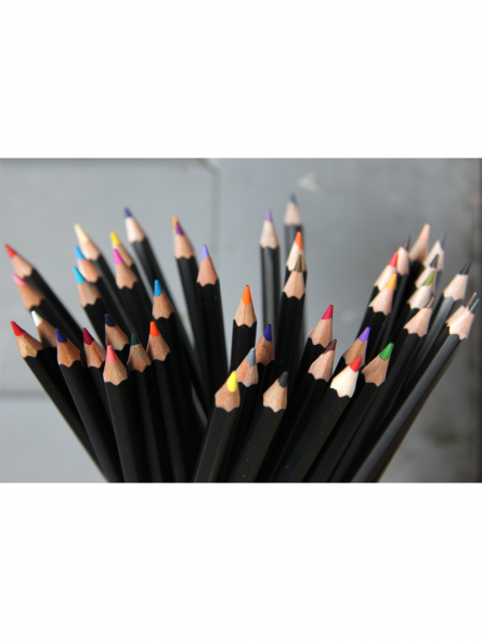 Lápices de Colores Bruynzeel Rijks Museum 50 Colores