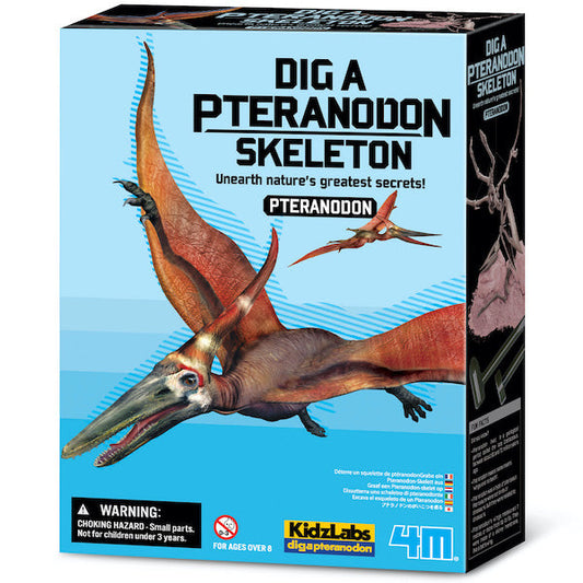 Dinosaurio Pteranodon  excava