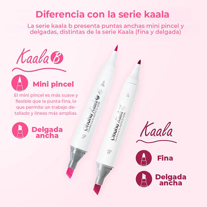 Set  60 marcadores de Alcohol Serie  Kaala B