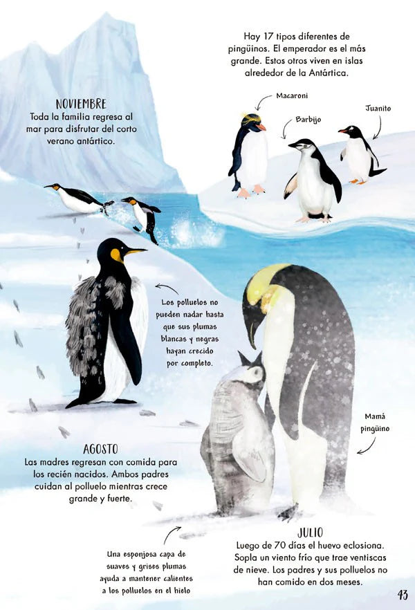Mi primer libro de la naturaleza