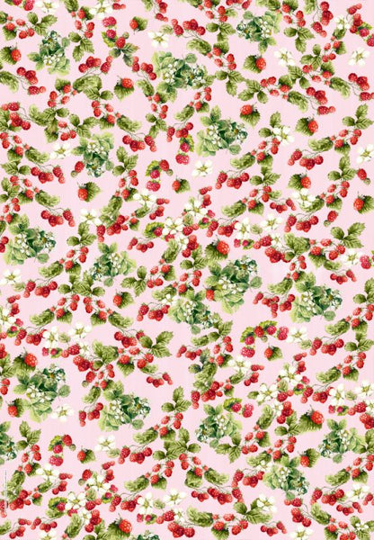 Libro para envolver regalos Cottage Garden