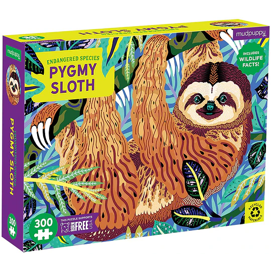 Puzzle Perezoso Pigmeo  300 piezas
