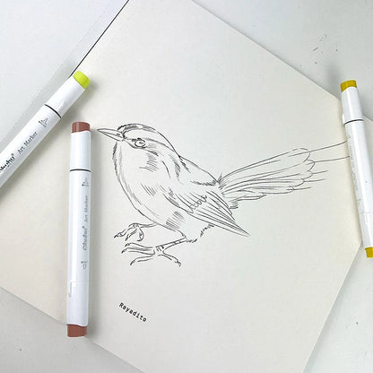 Libro para colorear Aves de Chile
