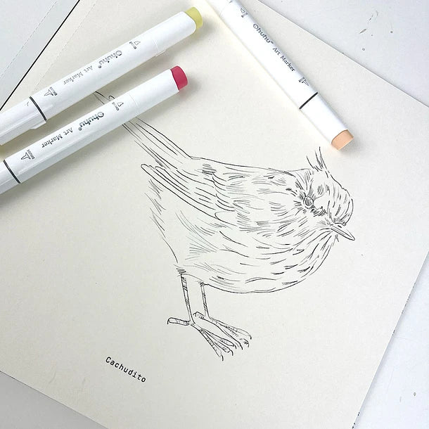 Libro para colorear Aves de Chile
