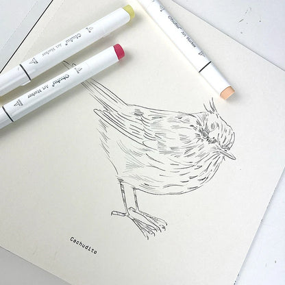 Libro para colorear Aves de Chile