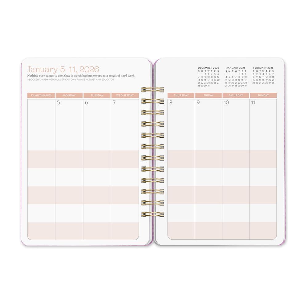 Agenda 2026 Mariposas 17 Meses