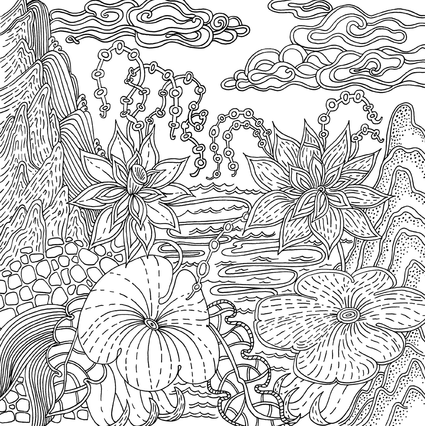 Libro para colorear -  Serenity