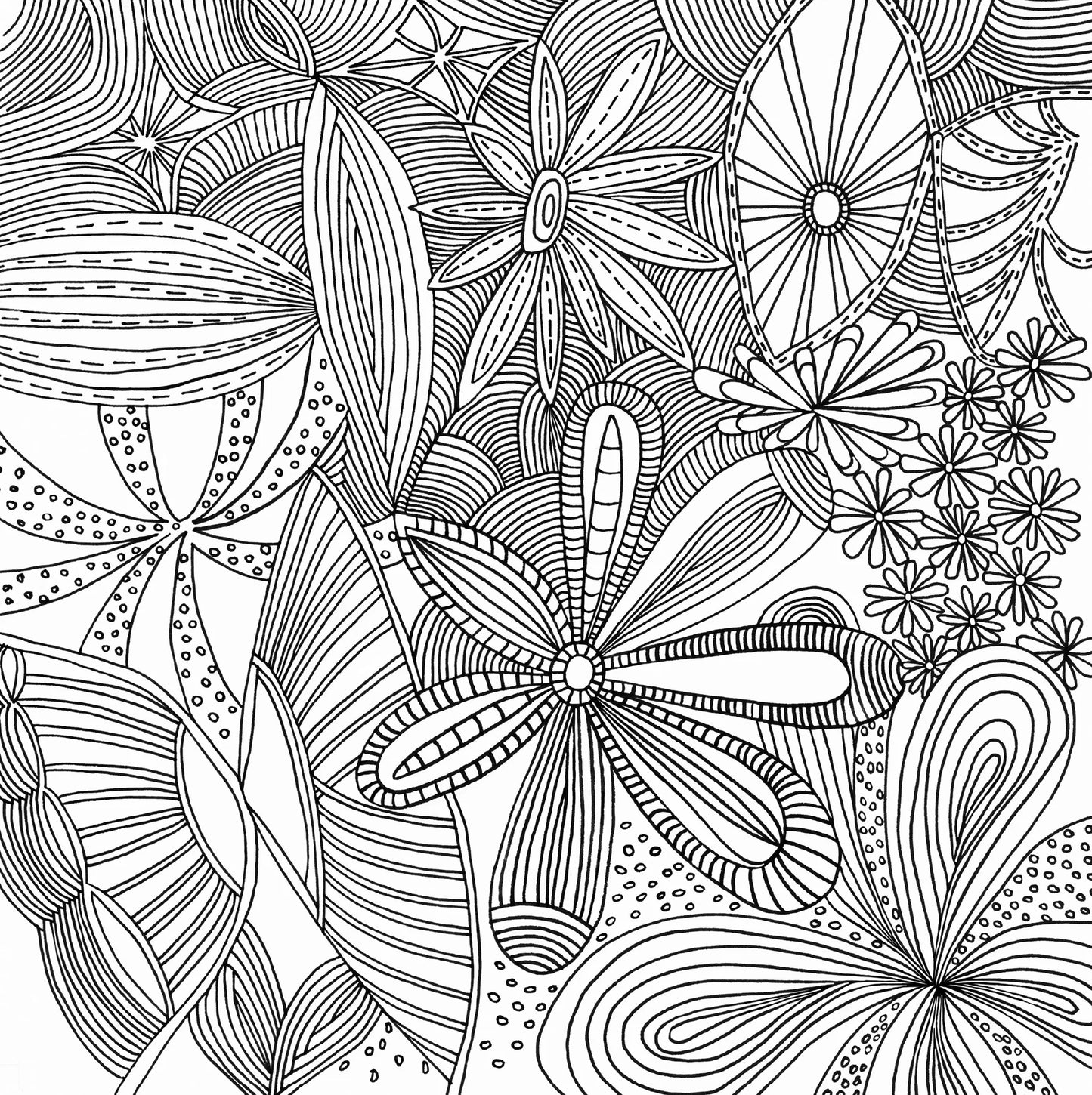 Libro para colorear -  Serenity