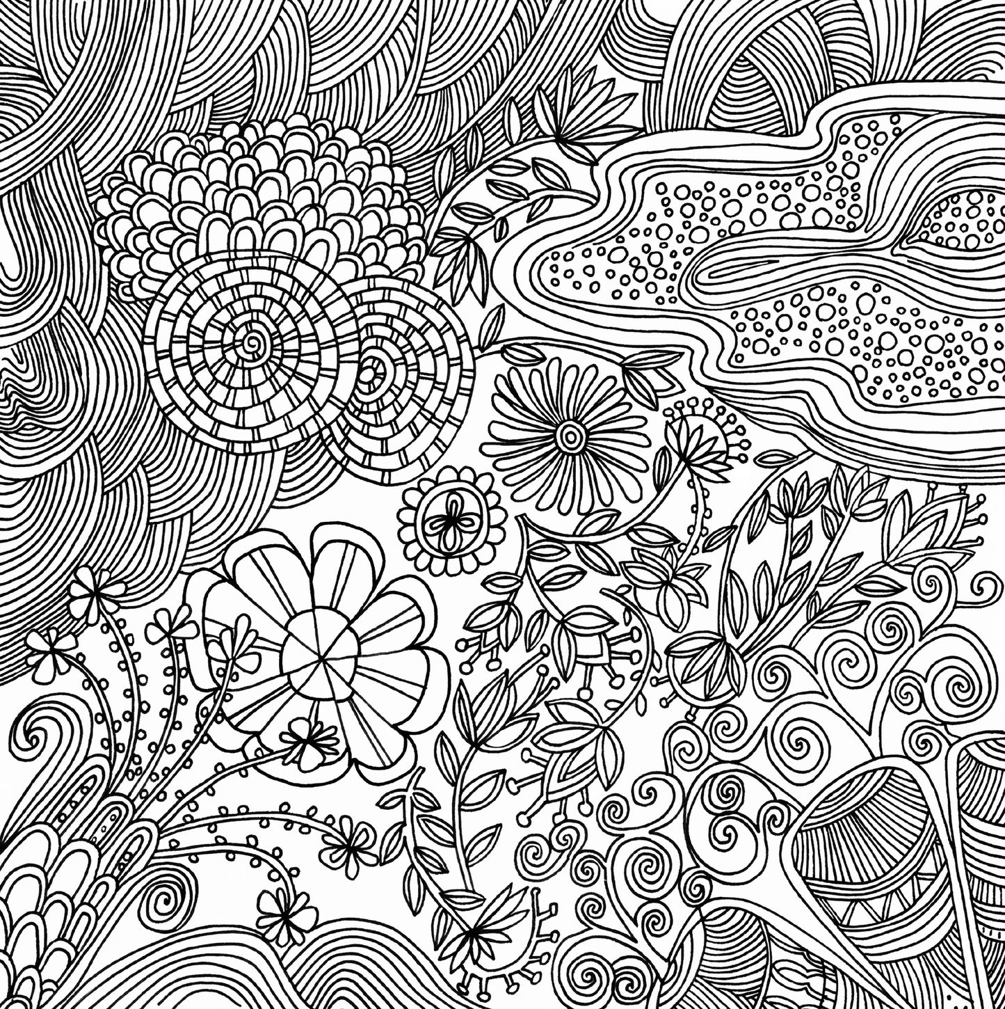 Libro para colorear -  Serenity