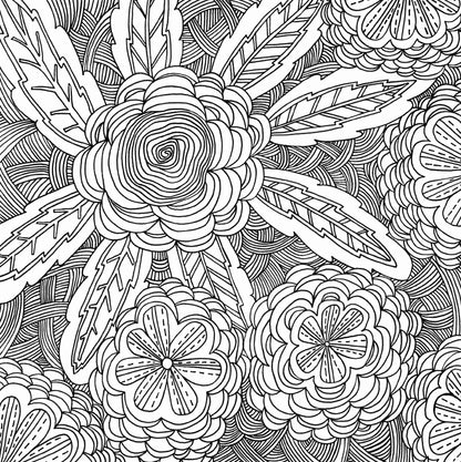 Libro para colorear -  Serenity