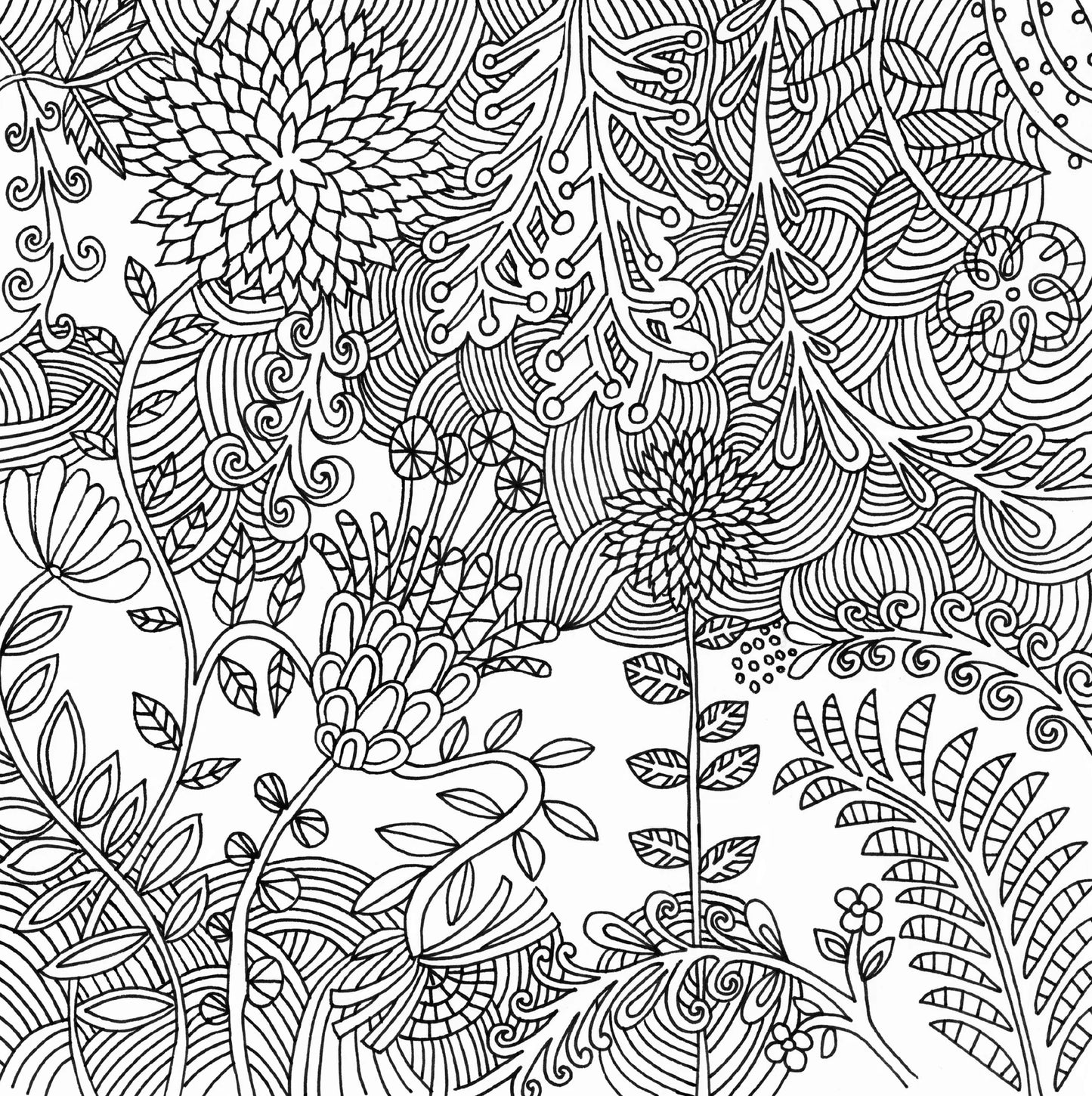 Libro para colorear -  Serenity