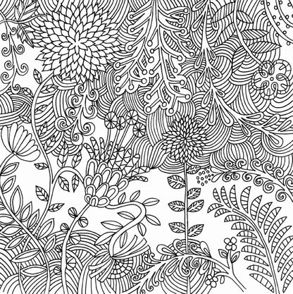 Libro para colorear -  Serenity