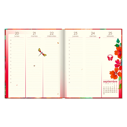 Agenda Butterfly Semanal 2026