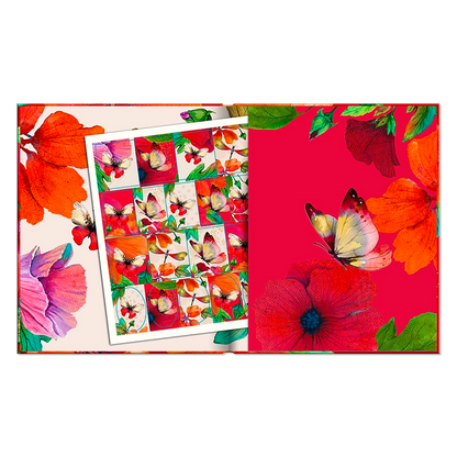 Agenda Butterfly Semanal 2026