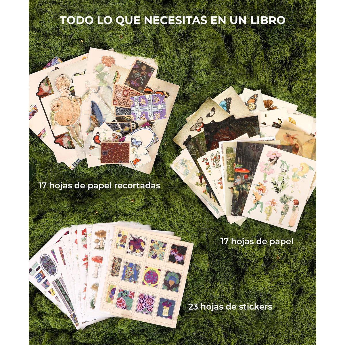 Libro de actividades La musa botánica