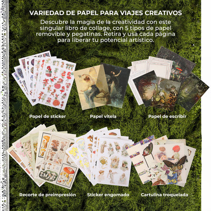 Libro de actividades La musa botánica
