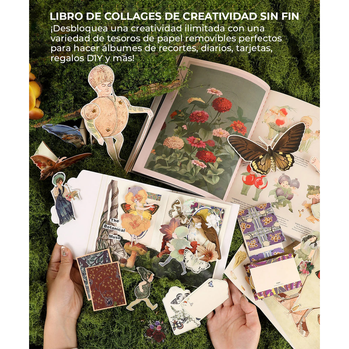Libro de actividades La musa botánica