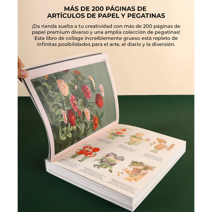 Libro de actividades La musa botánica