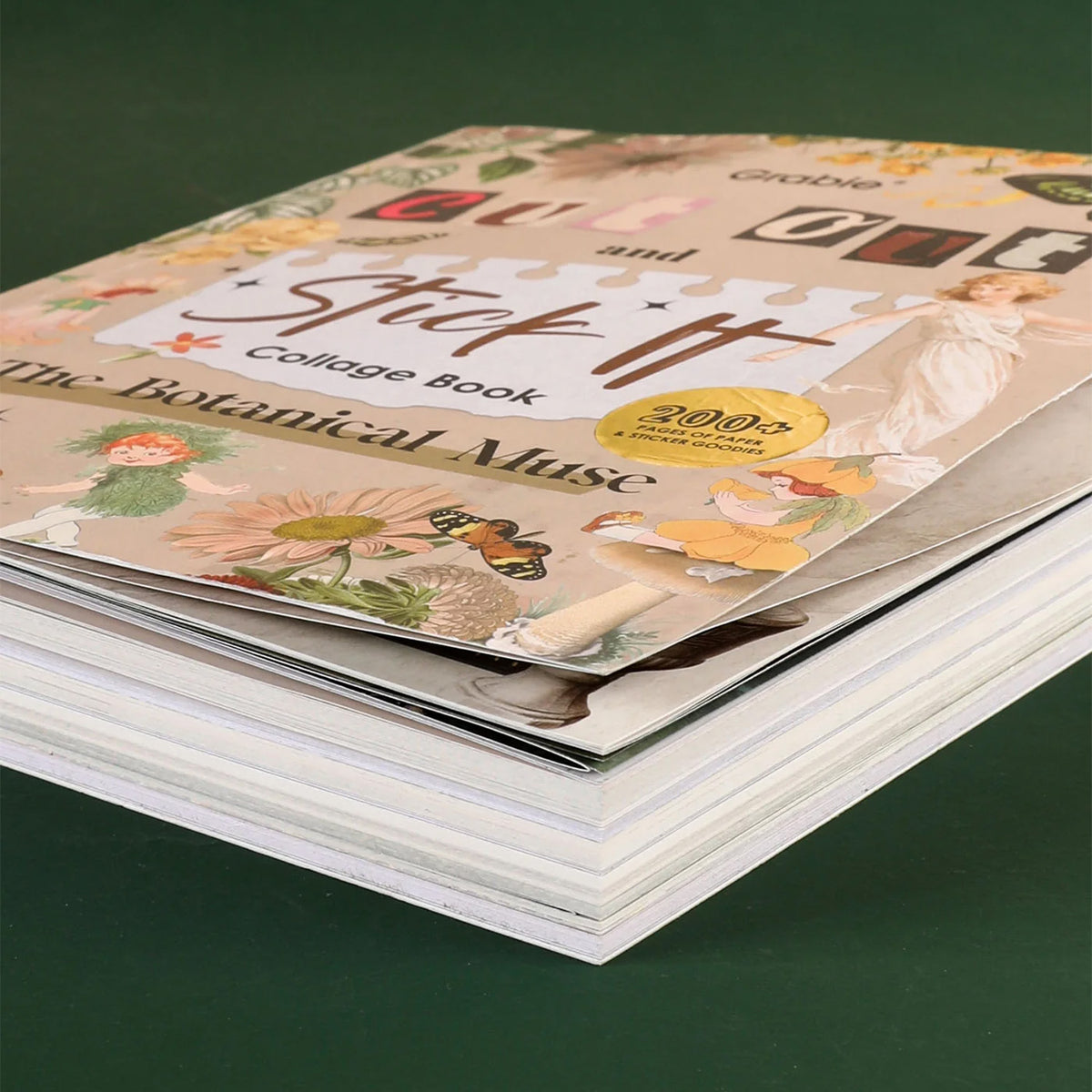 Libro de actividades La musa botánica