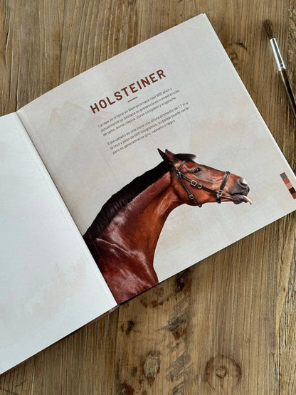 Libro para colorear Caballos