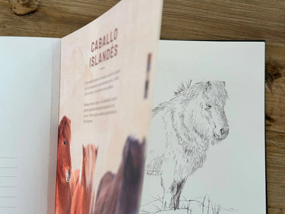 Libro para colorear Caballos