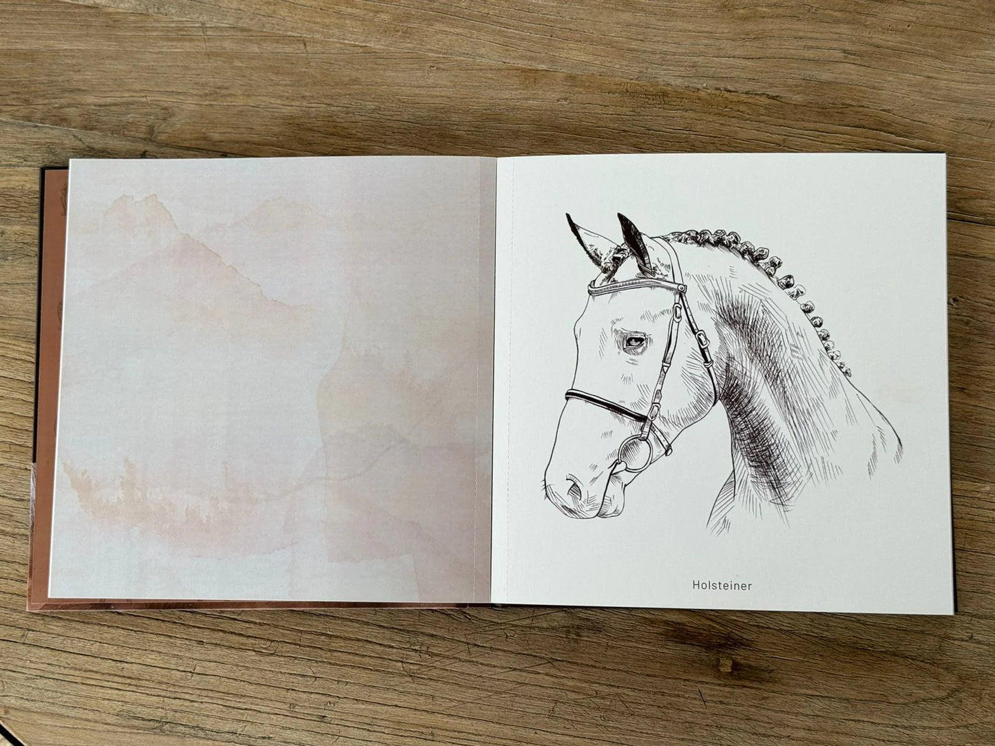 Libro para colorear Caballos