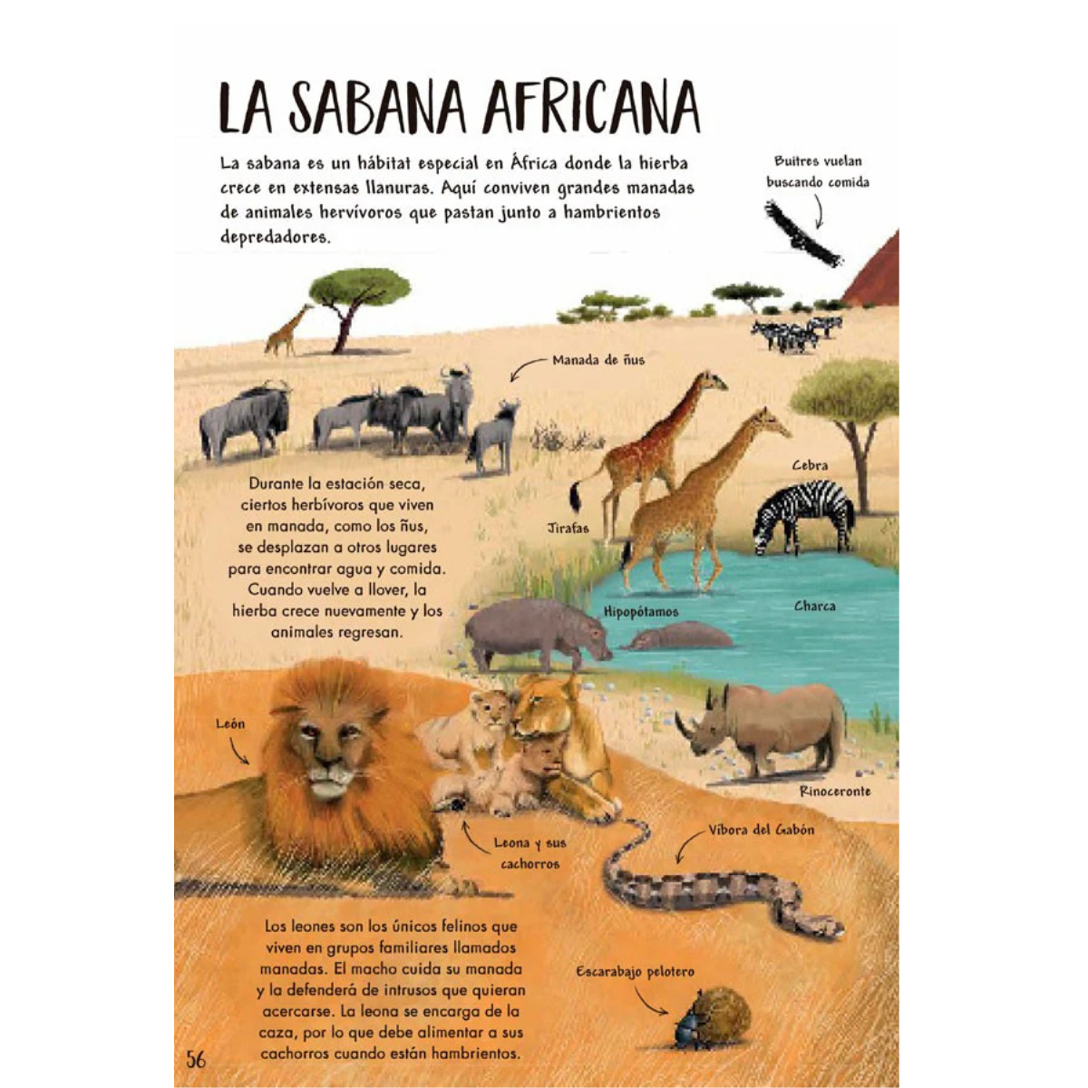 Mi primer libro de la naturaleza