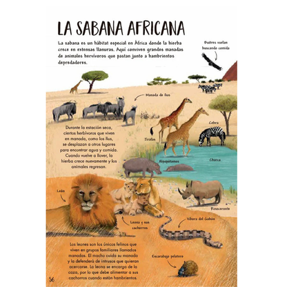 Mi primer libro de la naturaleza