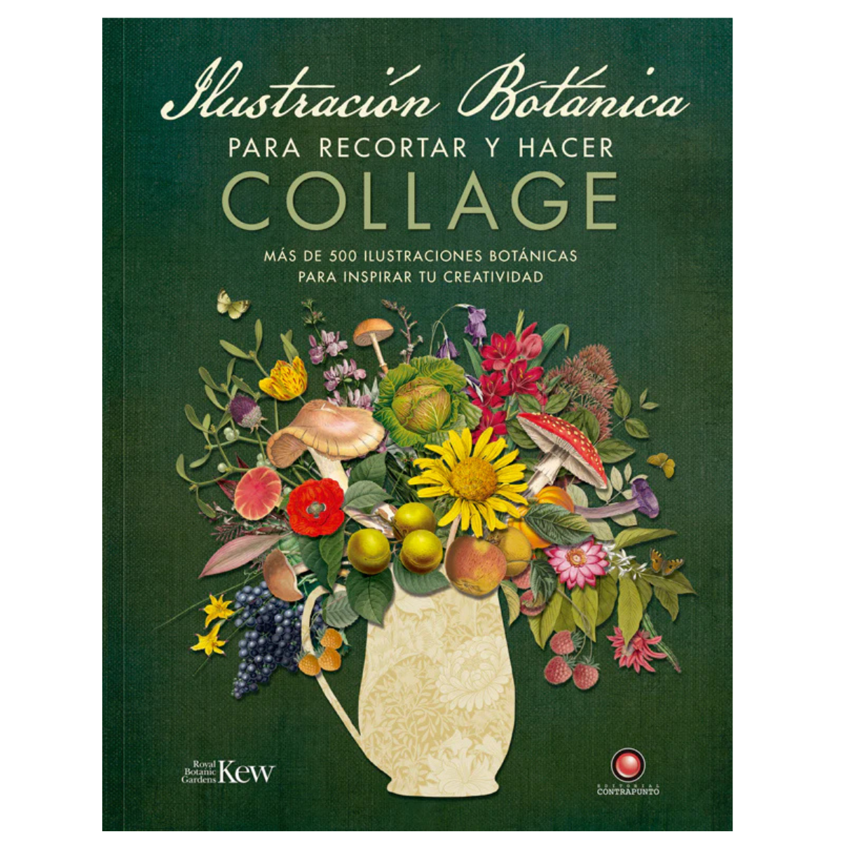Ilustración botánica para recortar y hacer collage